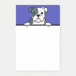 Bloco De Notas Bolldog Americano Cute Puppy Dog Dons