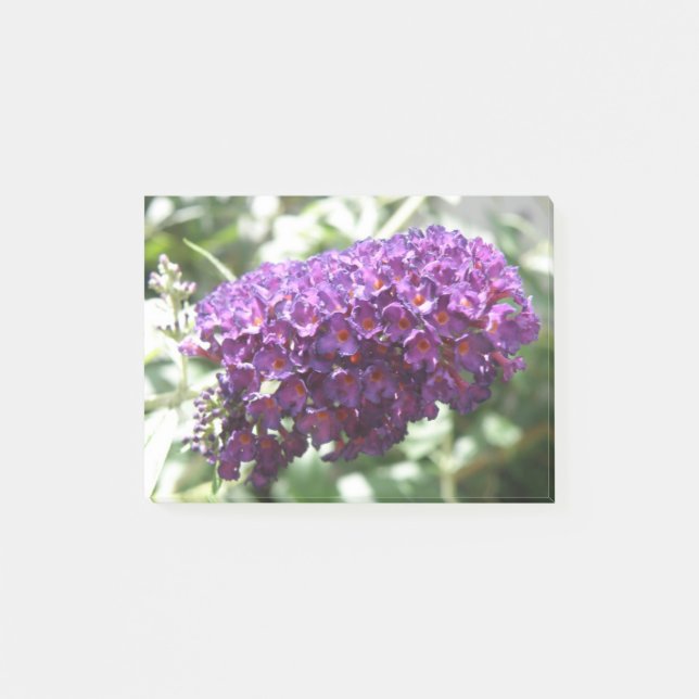 Bloco De Notas Bonita Flores Purple Budleia Posta (Frente)
