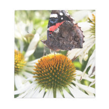 Borboleta Almirante na Flor