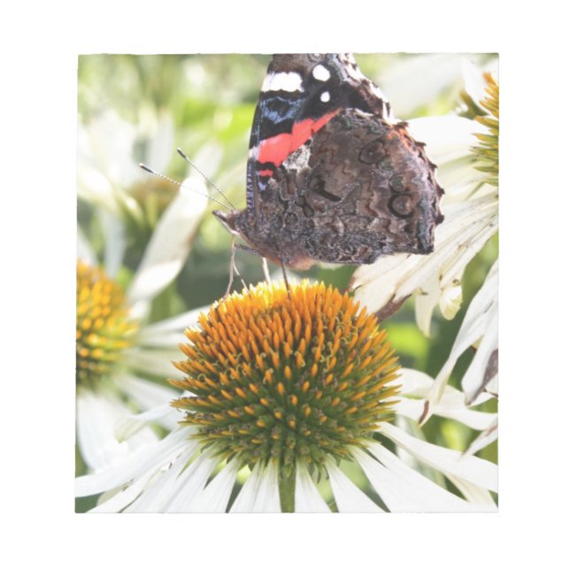 Bloco De Notas Borboleta Almirante na Flor (Frente)