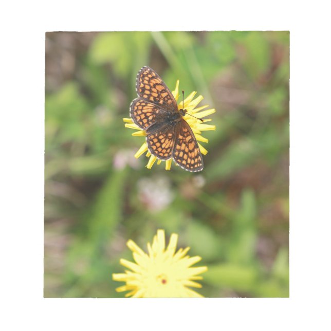 Bloco De Notas Borboleta - Bonita! (Frente)