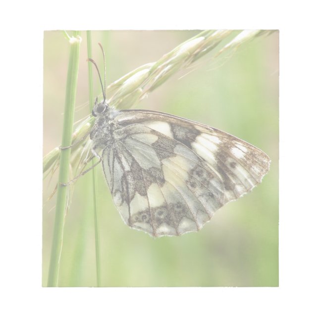Bloco De Notas Borboleta branca marmoreada na grama (Frente)