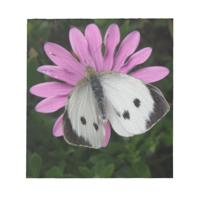 Bloco de notas borboleta e flor rosa (Frente)