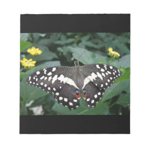 Bloco de notas Borboleta e Flores do limão