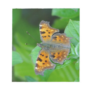 Bloco De Notas Borboleta laranja