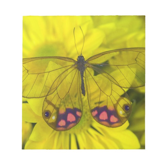 Bloco De Notas Borboleta no Amarelo (Frente)