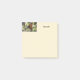 Bloco De Notas Borboleta Personalizada 3x3
