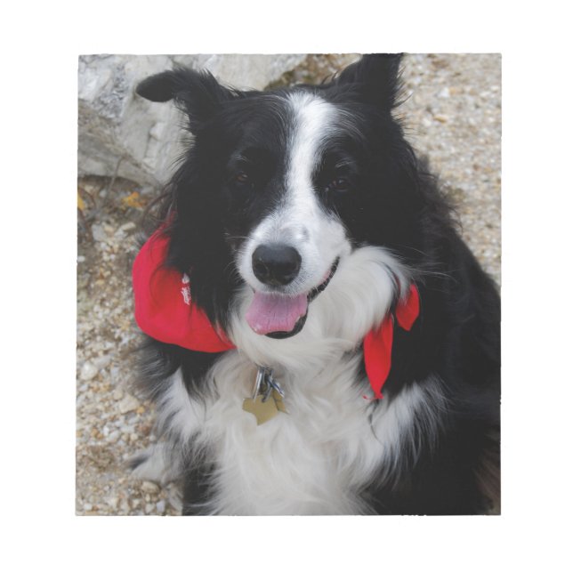Bloco De Notas Border Collie (Frente)