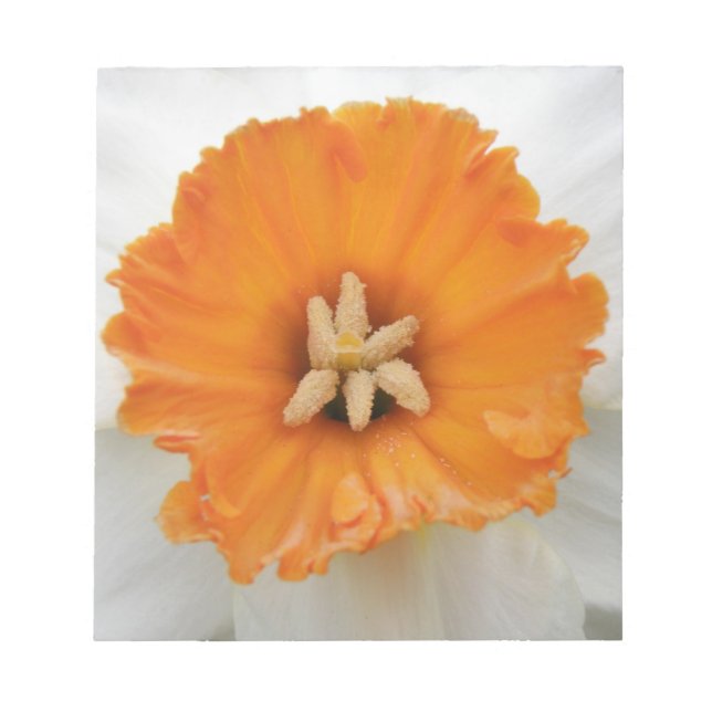 Bloco de notas branco Daffodil (Frente)