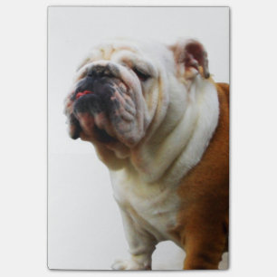 Bloco De Notas Buldogue