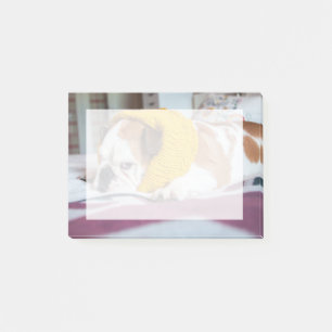Bloco De Notas Buldogue inglês das imagens de Getty