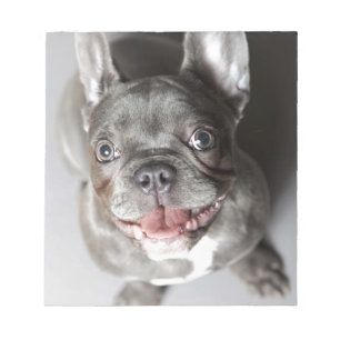 Bloco De Notas Bulldog francês