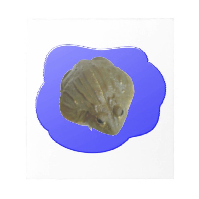 Bloco De Notas Bullfrod no Pond Notepad (Frente)