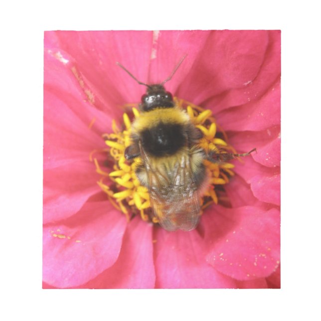 Bloco De Notas Bumblebee Notepad (Frente)