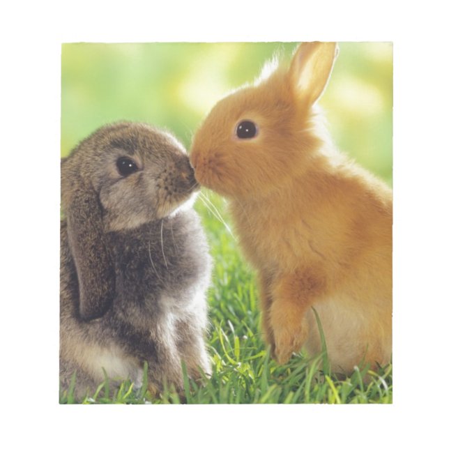 Bloco De Notas Bunny Kiss (Frente)