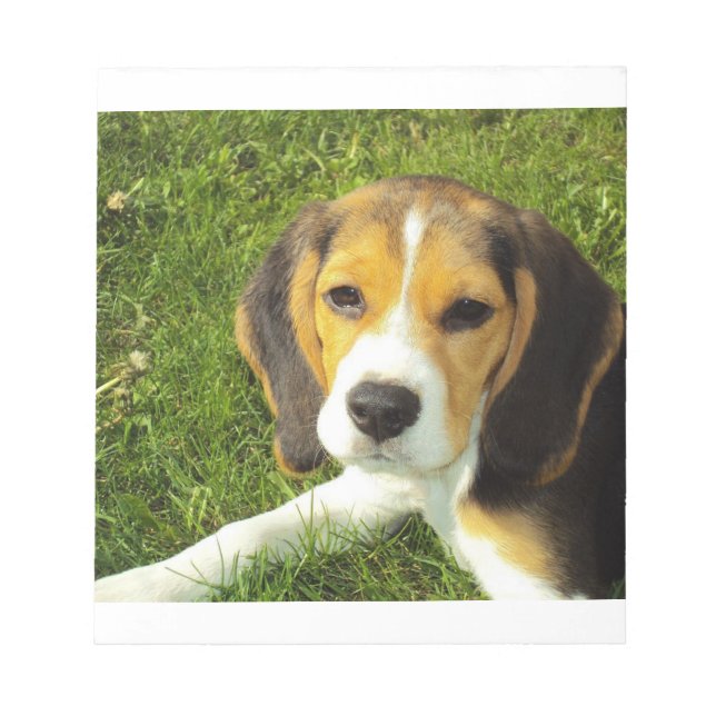 Bloco De Notas cachorrinho (Frente)