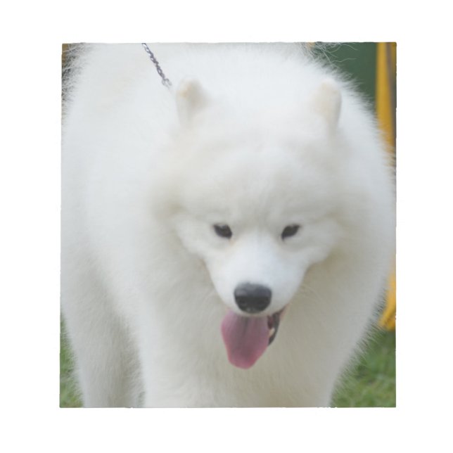 Bloco De Notas Cachorro Americano Eskimo Adorável (Frente)