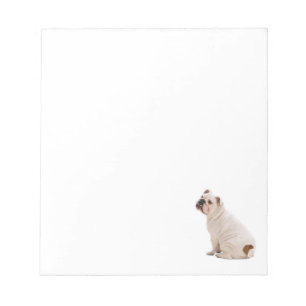 Bloco De Notas Cachorro branco de cão bonito