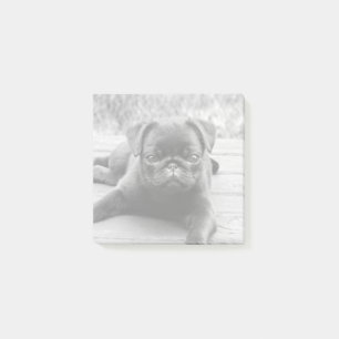 Bloco De Notas Cachorro Cachorro Cachorro Cachorro Escuro e Branc