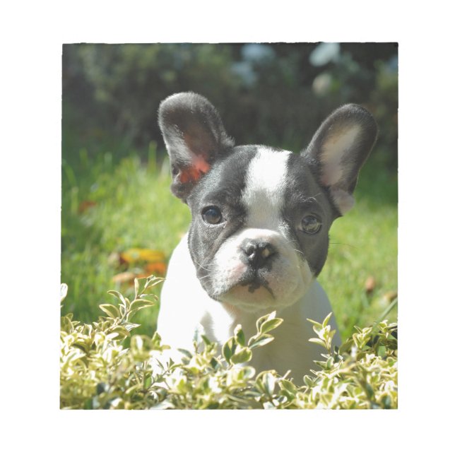 Bloco De Notas Cachorro Negro e Branco (Frente)