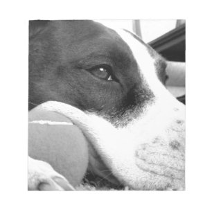 Bloco De Notas cachorro pitbull fofo e triste, preto e branco com