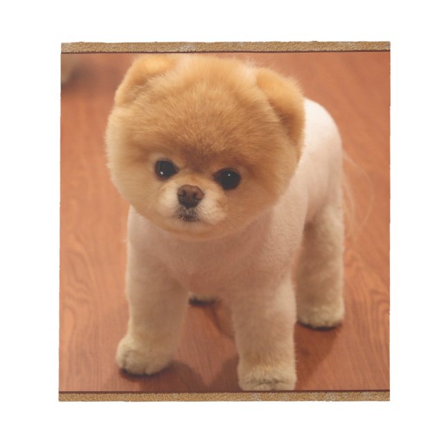 Bloco De Notas Cachorro Pomeraniano Pet Puppy Pequeno Bebê Adoráv (Frente)