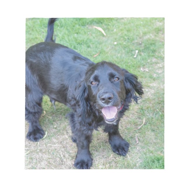 Bloco De Notas Cachorro Preto (Frente)