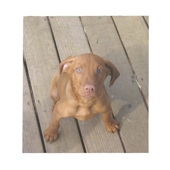 Bloco De Notas cachorro vizsla (Frente)