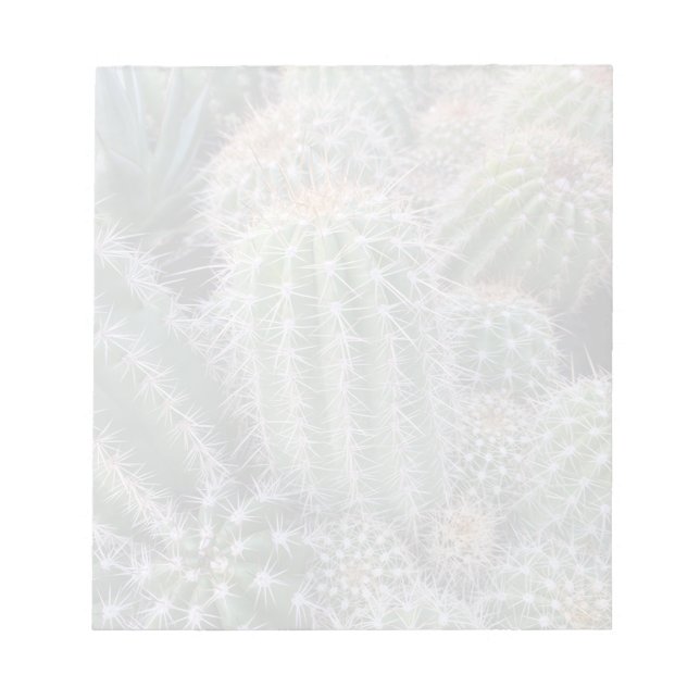 Bloco De Notas Cactus Notepad (Frente)