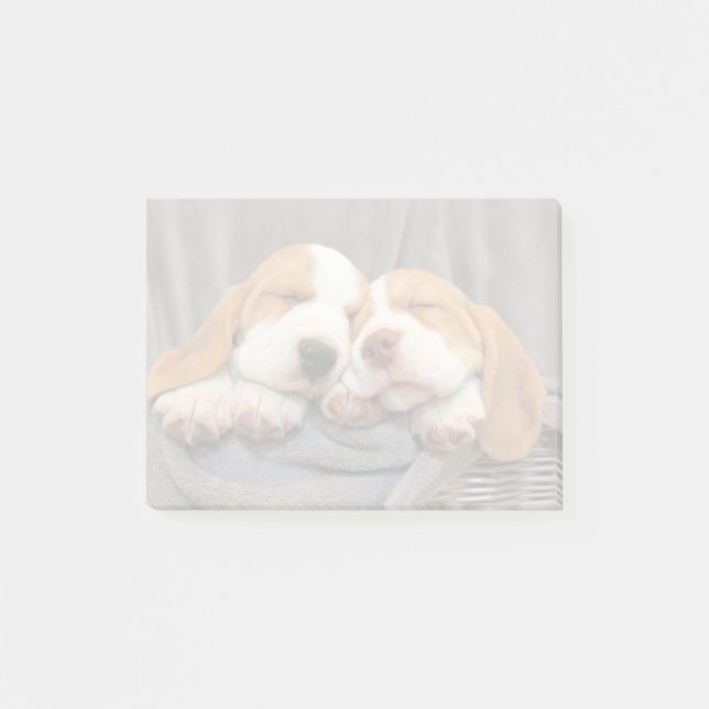Bloco De Notas Cãezinhos Sonolentos (Frente)