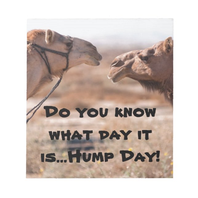 Bloco De Notas Camelos Hump Day (Frente)
