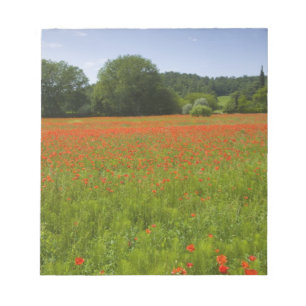 Bloco De Notas Campo da papoila, Chiusi, Italia