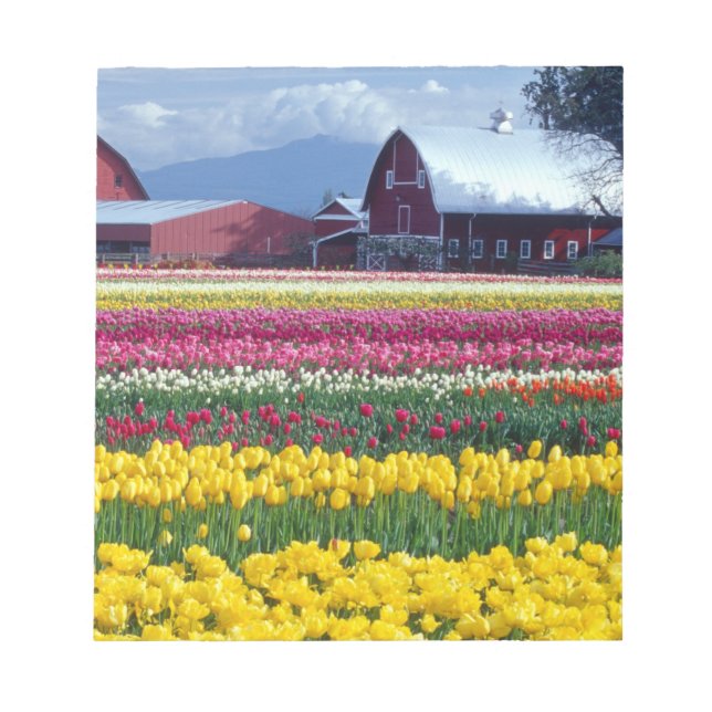 Bloco De Notas Campo de exibição de tulipas (Frente)