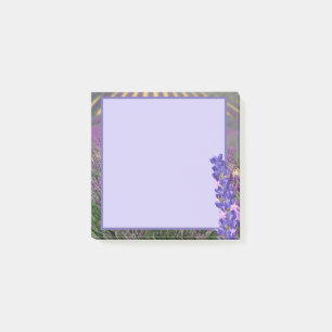Bloco De Notas Campos de lavanda Postam as notas