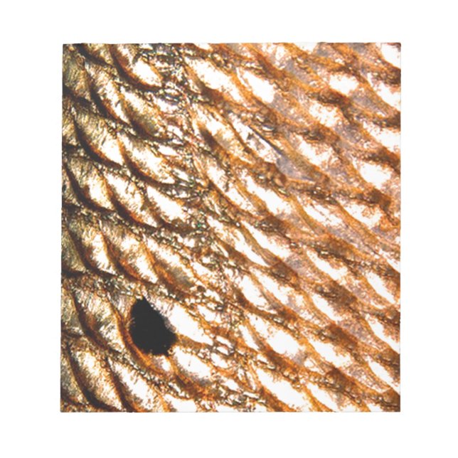 Bloco De Notas "Cantarilho" - Tambor vermelho por padrãoWear © (Frente)