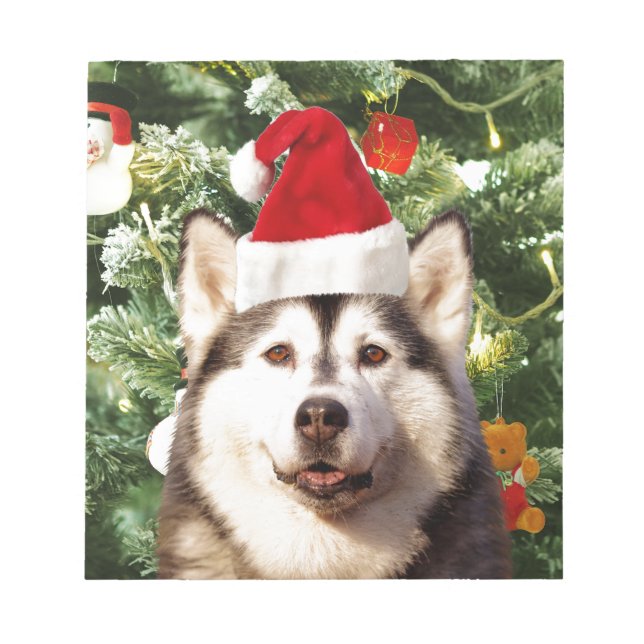 Bloco De Notas Canteiro de Árvores de Natal Siberian Husky Snowma (Frente)