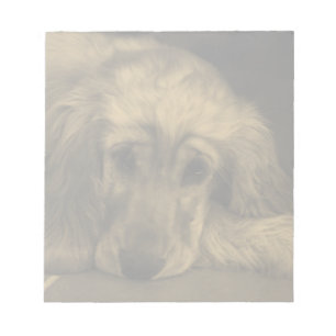 Bloco De Notas Cão Cachorro - Ouro