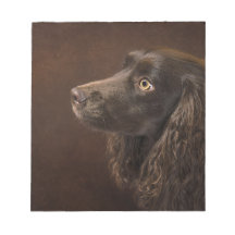 Cão De Cabelo Castanho