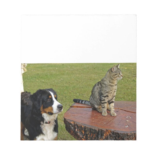 Bloco De Notas cão de montanha bernês com gato (Frente)