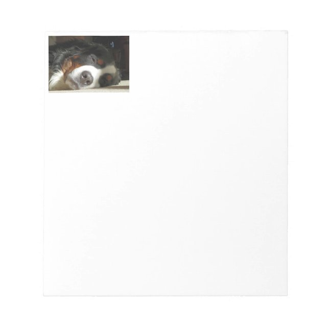 Bloco De Notas cão de montanha bernês dormindo (Frente)