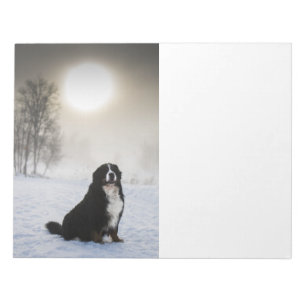 Bloco De Notas cão de montanha bernês na neve
