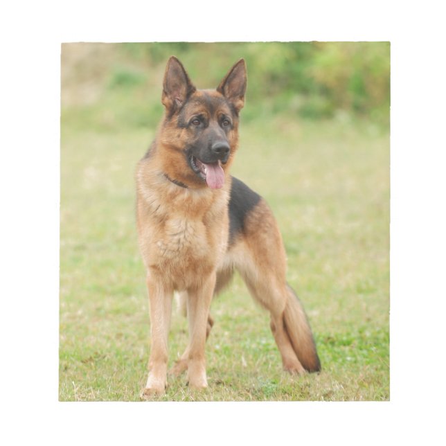 Bloco De Notas cão german shepherd (Frente)