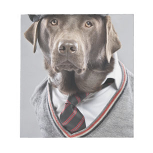 Bloco De Notas Cão na camisola e no boné