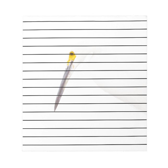 Bloco De Notas Captura de cabeça Egret (Frente)