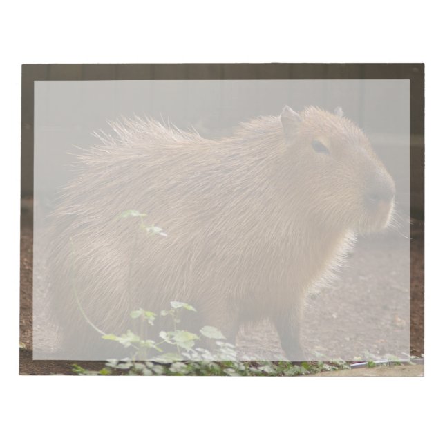 Bloco De Notas Capybara (Frente)