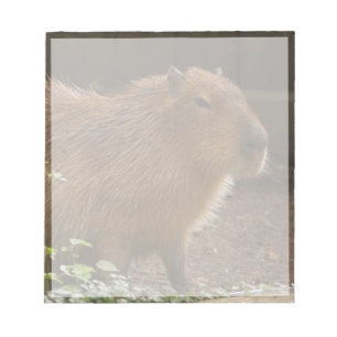 Bloco De Notas Capybara