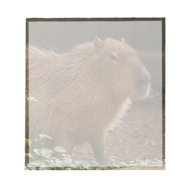 Bloco De Notas Capybara (Frente)