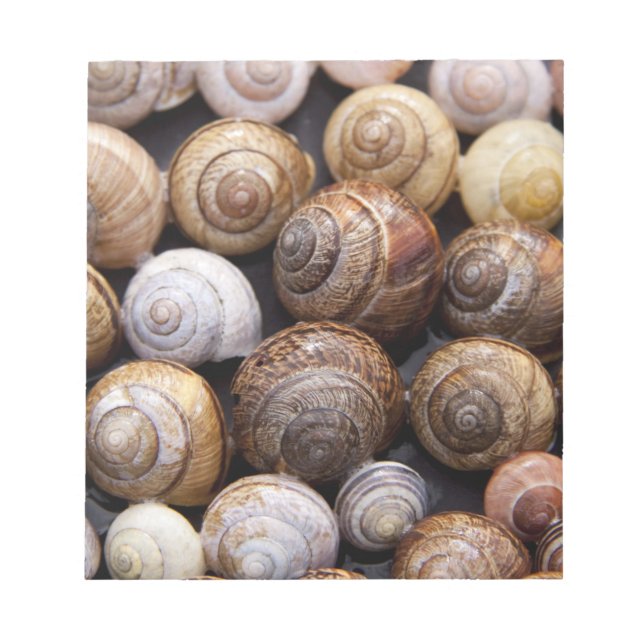 Bloco De Notas Caracóis (Frente)