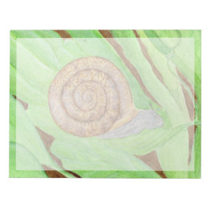 Bloco De Notas Caracol
