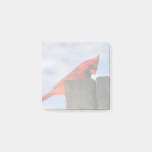 Bloco De Notas Cardinal Vermelho sobre o Stump de Wooden